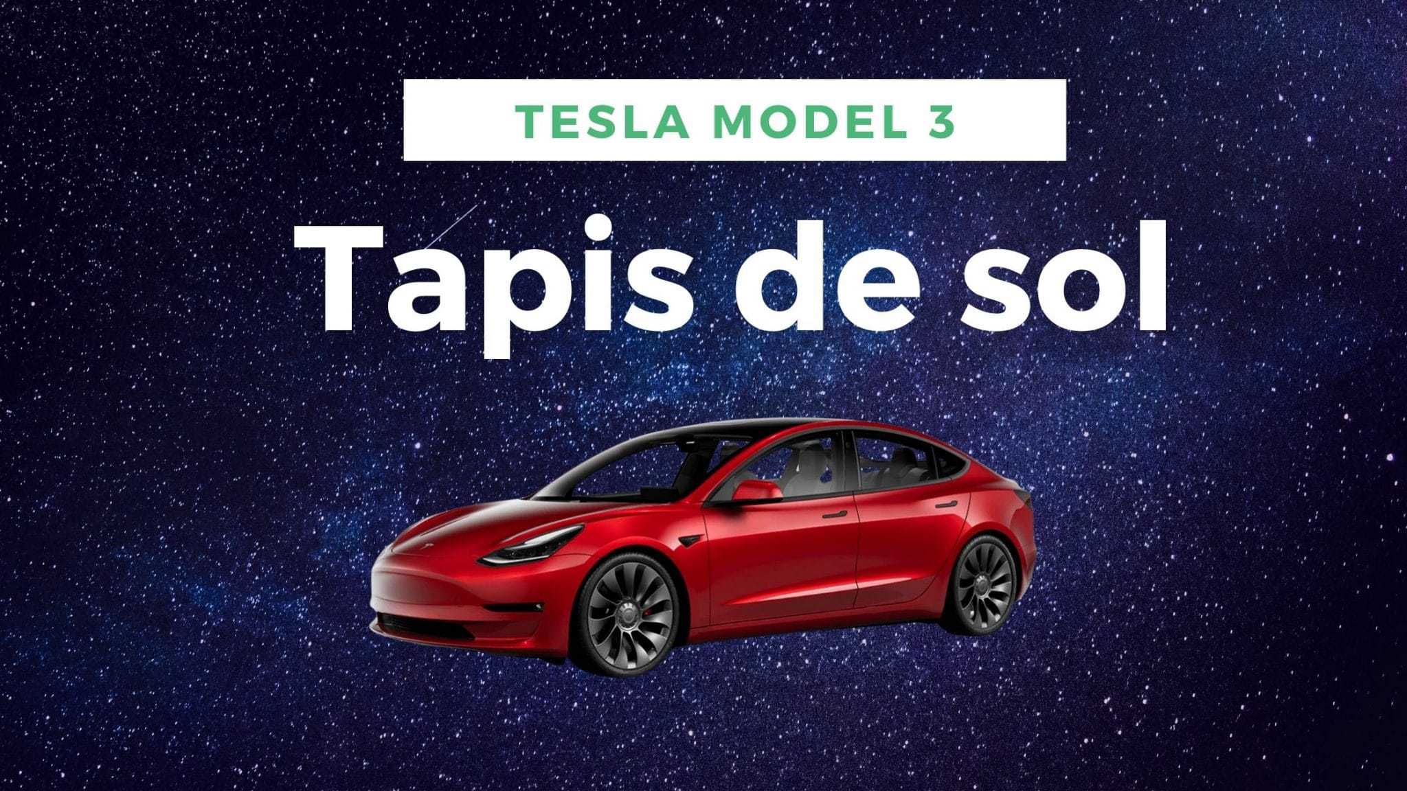 BASENOR Tapis de coffre pour Tesla Model 3 2023, 2022, 2021