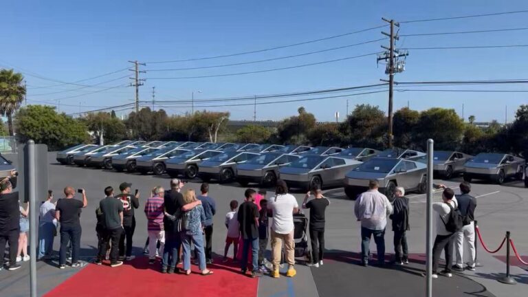 Tesla deliveries in the United States are carried out on a purple carpet!