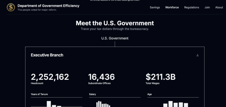 How the New Government Efficiency Platform Promises Transparency in the US